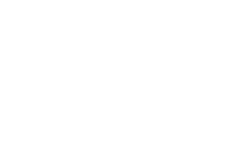 Breitbandversorgung Schafflund Logo
